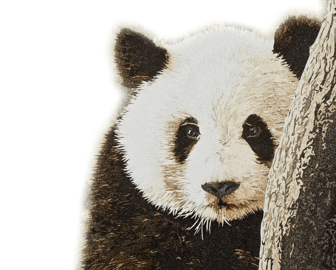 Tableau en sable d'un panda vu de près